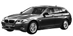 BMW F11 P1F17 Fault Code